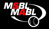 Men's Senior/Adult Baseball League